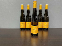 Petra unger gaisberg riesling 2020 (6x) - afbeelding 2 van  4