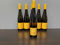 Petra unger gaisberg riesling 2020 (6x) - afbeelding 3 van  4