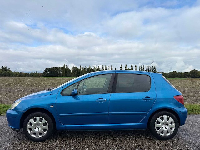 Peugeot - 2005 - 307 - 1.6-16v xs premium - 99-pz-fp - afbeelding 9 van  10