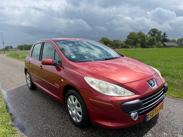Peugeot - 2006 - 307 - 1.6-16v oxygo - 58-tg-hb - afbeelding 7 van  13