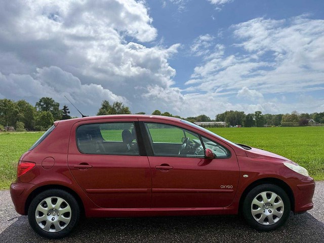 Peugeot - 2006 - 307 - 1.6-16v oxygo - 58-tg-hb - afbeelding 8 van  13