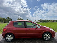 Peugeot - 2006 - 307 - 1.6-16v oxygo - 58-tg-hb - afbeelding 8 van  13