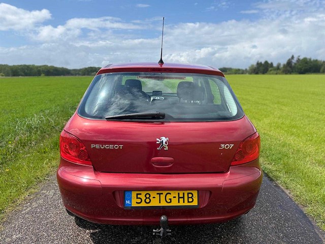 Peugeot - 2006 - 307 - 1.6-16v oxygo - 58-tg-hb - afbeelding 10 van  13