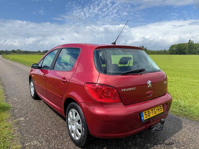 Peugeot - 2006 - 307 - 1.6-16v oxygo - 58-tg-hb - afbeelding 11 van  13