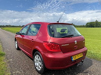 Peugeot - 2006 - 307 - 1.6-16v oxygo - 58-tg-hb - afbeelding 11 van  13