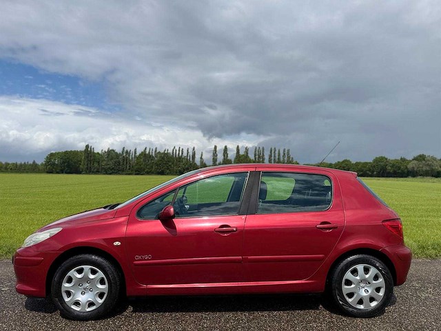 Peugeot - 2006 - 307 - 1.6-16v oxygo - 58-tg-hb - afbeelding 12 van  13
