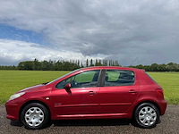 Peugeot - 2006 - 307 - 1.6-16v oxygo - 58-tg-hb - afbeelding 12 van  13