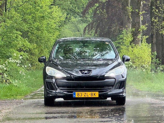 Peugeot - 2008 - 308 - 1.4 vti x-line - 83-zl-bk - afbeelding 8 van  15