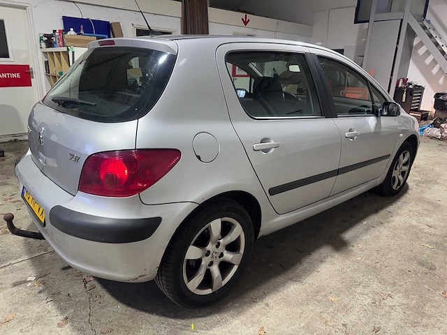 Peugeot - 307 - 1.6-16v xt - 46-hp-vx - afbeelding 12 van  17