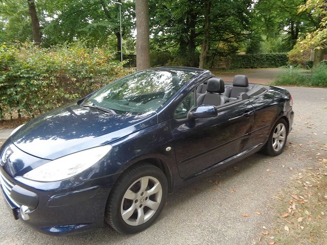 Peugeot - 307 cabrio cc - 2.0-16v palm beach - car - 2008 - afbeelding 1 van  8