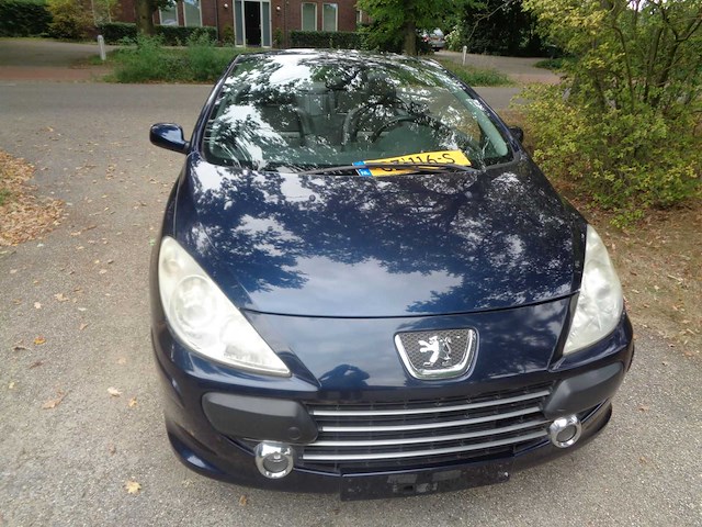 Peugeot - 307 cabrio cc - 2.0-16v palm beach - car - 2008 - afbeelding 2 van  8