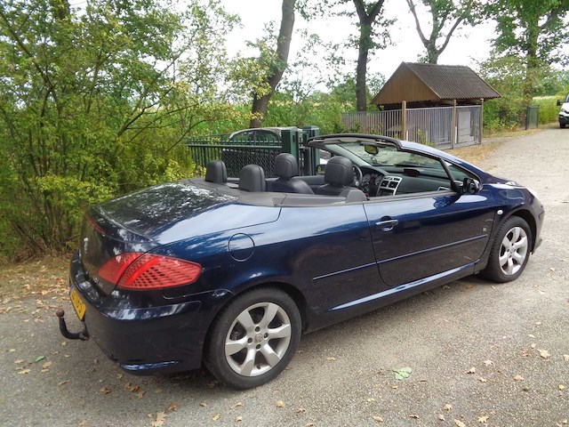 Peugeot - 307 cabrio cc - 2.0-16v palm beach - car - 2008 - afbeelding 3 van  8