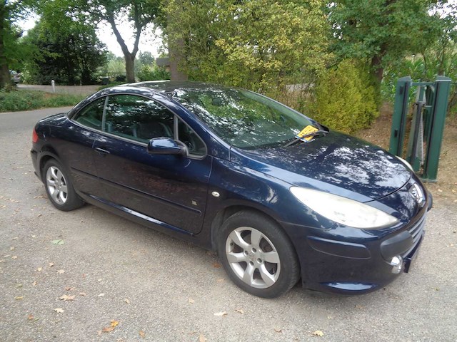 Peugeot - 307 cabrio cc - 2.0-16v palm beach - car - 2008 - afbeelding 8 van  8