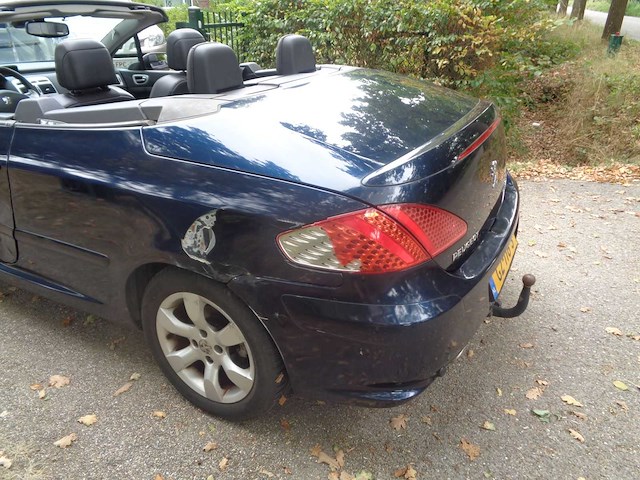 Peugeot - 307 cabrio cc - 2.0-16v palm beach - car - 2008 - afbeelding 2 van  4