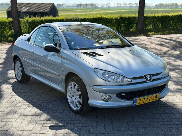 Peugeot 206 cc 1.6-16v roland g. 2-zrv-38 - afbeelding 4 van  22
