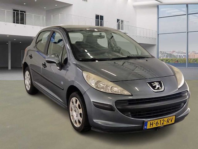 Peugeot 207 sw 1.4 xr , h-612-rv - afbeelding 10 van  17