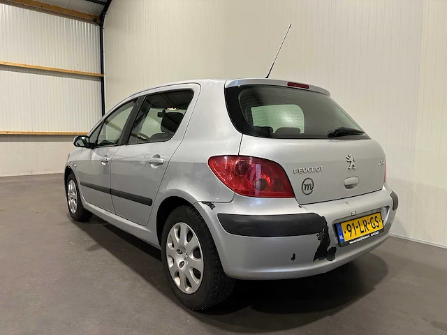Peugeot 307 1.4 xs 91-lr-gs - afbeelding 13 van  19