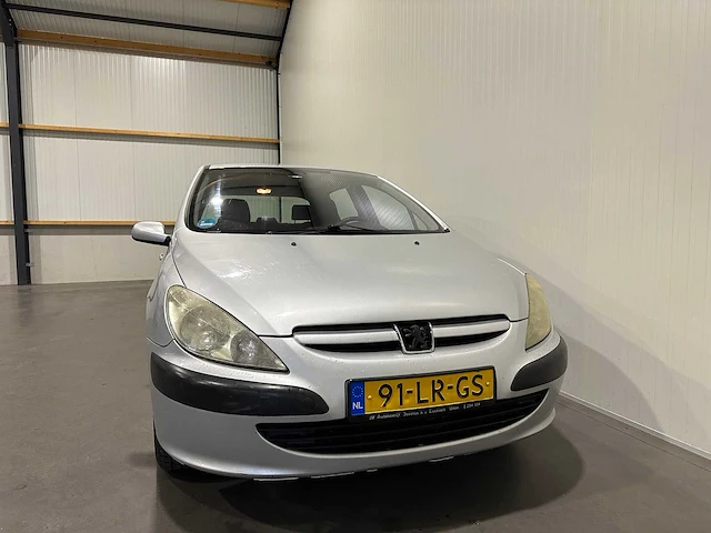 Peugeot 307 1.4 xs 91-lr-gs - afbeelding 18 van  19