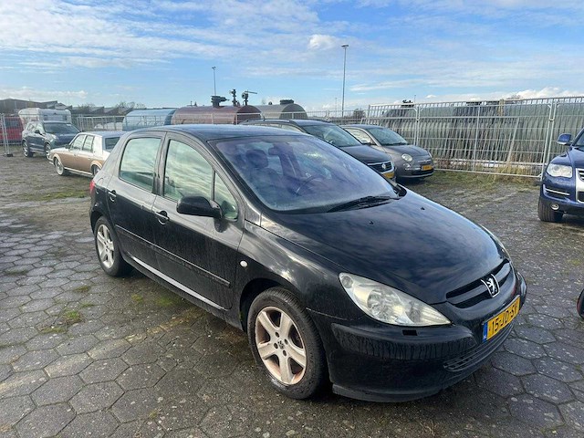 Peugeot 307 1.6-16v xs 2002 - afbeelding 2 van  9