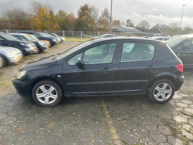 Peugeot 307 1.6-16v xs 2002 - afbeelding 3 van  9