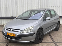 Peugeot 307 1.6 16v xs, 79-hf-th - afbeelding 1 van  12