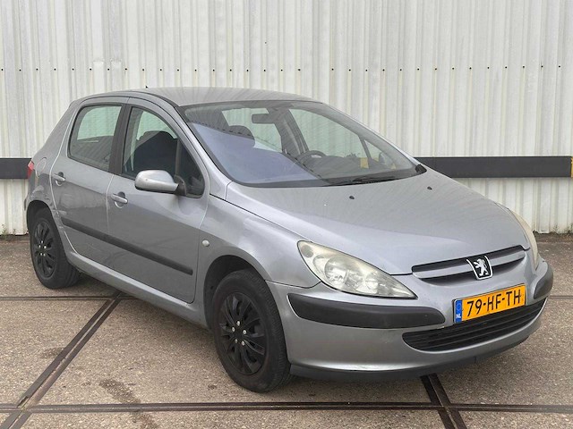 Peugeot 307 1.6 16v xs, 79-hf-th - afbeelding 7 van  12