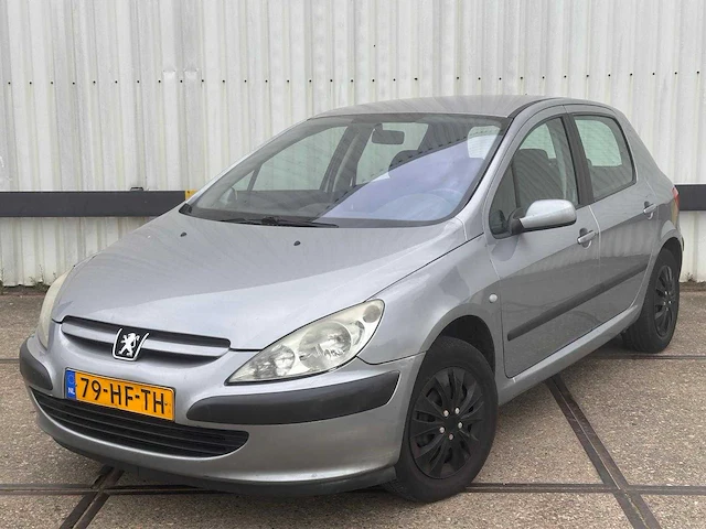 Peugeot 307 1.6 16v xs, 79-hf-th - afbeelding 1 van  14