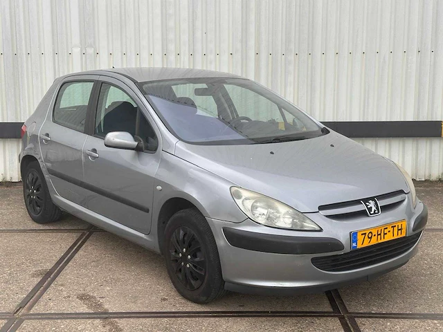 Peugeot 307 1.6 16v xs, 79-hf-th - afbeelding 8 van  14