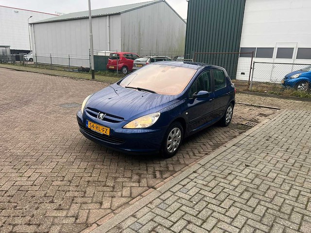 Peugeot 307 1.6-16v xs premium , 54-rl-fz - afbeelding 1 van  20