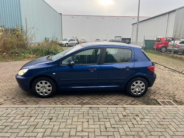 Peugeot 307 1.6-16v xs premium , 54-rl-fz - afbeelding 14 van  20