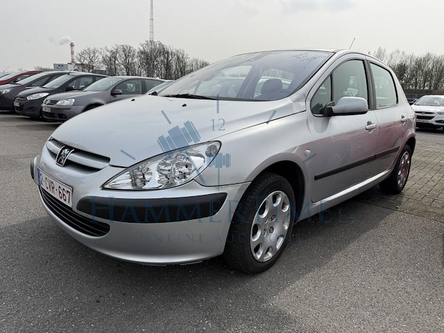 Peugeot 307 1.6i 16v xs, 2001 - afbeelding 1 van  30