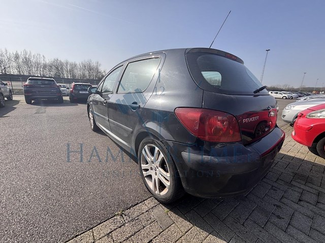 Peugeot 307 1.6i 16v xt, 2003 - afbeelding 38 van  40
