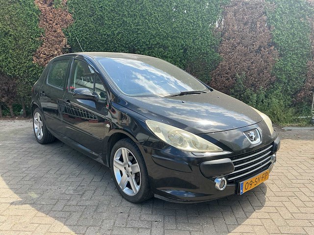 Peugeot 307 2.0-16v xsi 09-sn-fp - afbeelding 1 van  28