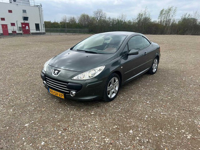 Peugeot 307 cc - 2.0-16v ,40-sv-xp - afbeelding 1 van  15