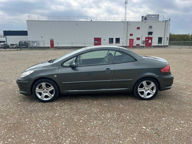Peugeot 307 cc - 2.0-16v ,40-sv-xp - afbeelding 10 van  15