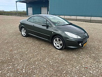 Peugeot 307 cc - 2.0-16v ,40-sv-xp - afbeelding 14 van  15