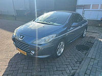 Peugeot 307 cc - 2.0-16v sport, 10-xl-dr - afbeelding 1 van  15