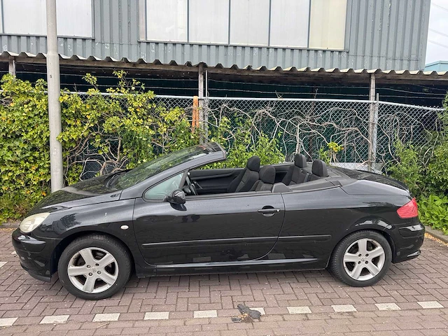 Peugeot 307 cc 1.6-16v, 09-sp-ls - afbeelding 6 van  15