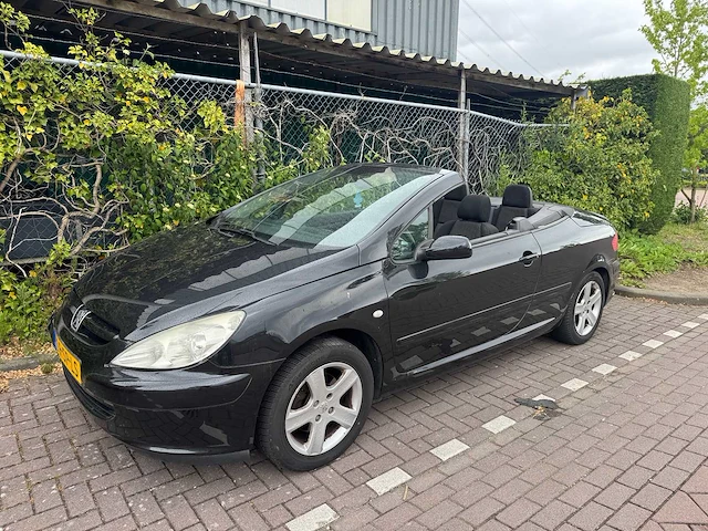 Peugeot 307 cc 1.6-16v, 09-sp-ls - afbeelding 1 van  15