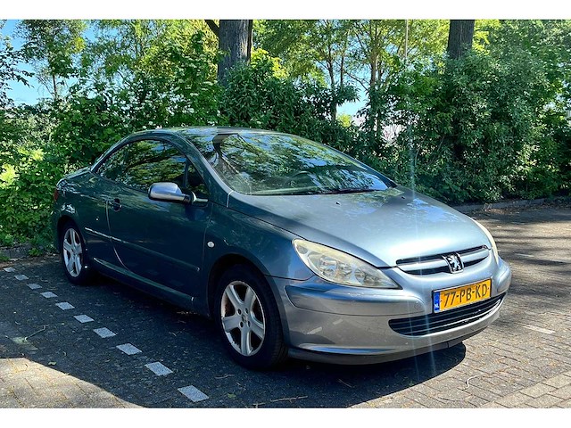 Peugeot 307 cc 1.6-16v, 77-pb-kd - afbeelding 2 van  21