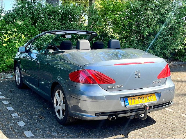 Peugeot 307 cc 1.6-16v, 77-pb-kd - afbeelding 16 van  21