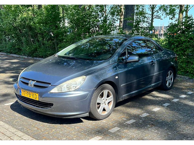 Peugeot 307 cc 1.6-16v, 77-pb-kd - afbeelding 20 van  21