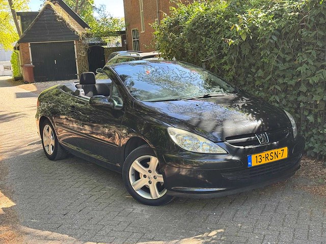 Peugeot 307 cc 2.0 16v, 13-rsn-7 - afbeelding 3 van  6