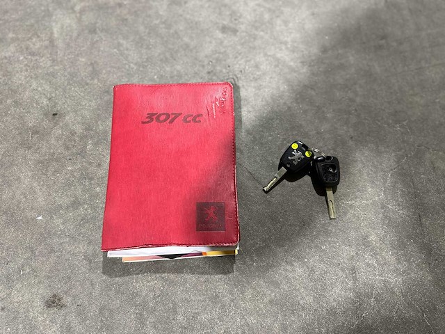 Peugeot 307 cc 2.0-16v 136pk 2005, 67-rg-xg - afbeelding 15 van  16