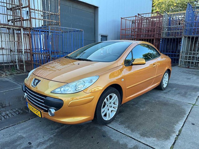Peugeot 307 cc 2.0-16v 51-rv-fg - afbeelding 2 van  29