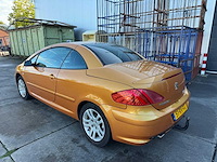 Peugeot 307 cc 2.0-16v 51-rv-fg - afbeelding 6 van  29