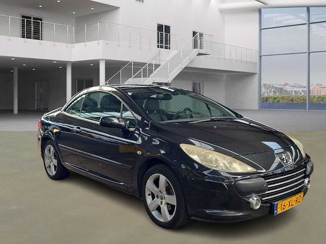 Peugeot 307 cc 2.0-16v oxygo, 16-xl-rz - afbeelding 8 van  15