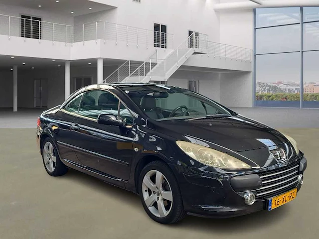 Peugeot 307 cc 2.0-16v oxygo, 16-xl-rz - afbeelding 8 van  15