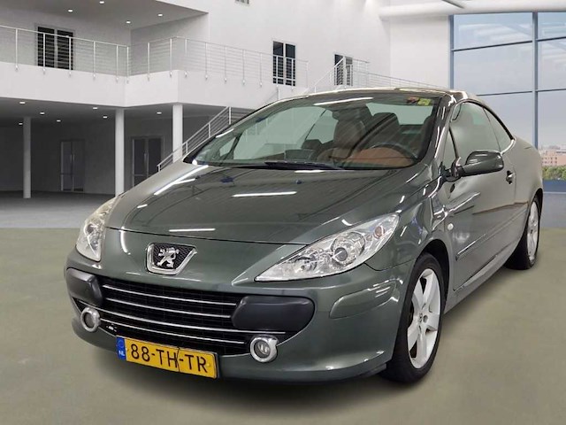 Peugeot 307 cc 2.0 16v oxygo, 88-th-tr - afbeelding 1 van  10