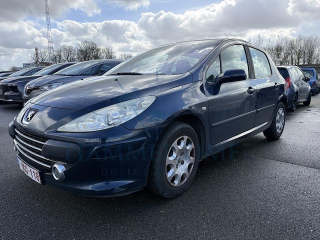 Peugeot 307 executive, 2007 - afbeelding 1 van  32